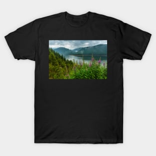 Lake Vidra in Romania T-Shirt